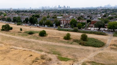 Parched grass in east London, in one of seven areas where drought has been declared. EPA