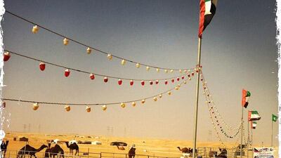 Day trip with friends to the Western Region and the Mazayin Dhafra Camel Festival, 220 kms west of Abu Dhabi on December 20, 2013. Camels in their pen. Picture taken with the Hipstamatic app for the iPhone. Liz Claus / The National