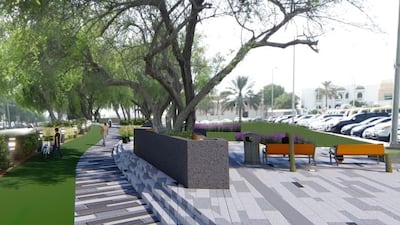 Abu Dhabi Municipality's Dh1.2 million project aims to protect trees from 1882. Courtesy - Abu Dhabi Municipality