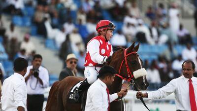 Jockey Tadhg O'Shea rode Shaheer to a big win at the Abu Dhabi Equestrian Club on Sunday. DELORES JOHNSON / The National