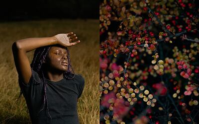 Raphaël Neal, United Kingdom, Finalist, Professional competition, Creative, Sony World Photography Awards.