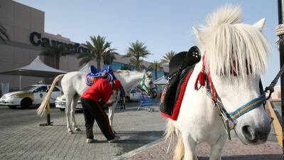 A reader expresses concern for the animals that are used for entertainment near Marina Mall. Nicole Hill / The National