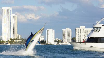 The Seabreacher is available here in the UAE. Courtesy Innespace Productions