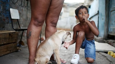 Joao Vitor kneels with a dog in the Complexo da Mare slum. (Mario Tama / Getty Images / March 30, 2014)