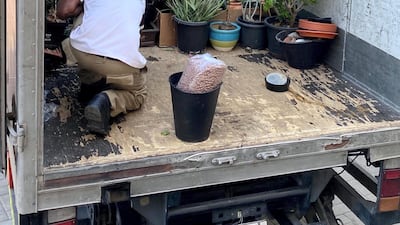 When moving from an apartment to a villa, one truck was required just to move his plants