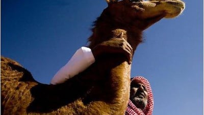 Despite the pressures of modern times, Bedouin values remain as strong as ever.