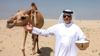 Bedouins grazing camels in the Al Ghayathi desert area in Abu Dhabi. Victor Besa / The National