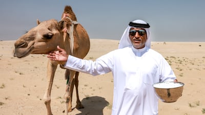 Bedouins grazing camels in the Al Ghayathi desert area in Abu Dhabi. Victor Besa / The National