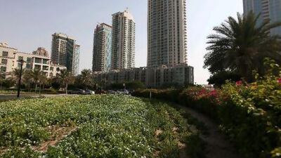 The Greens residential area in Dubai where the tenants were allegedly conned. Pawan Singh / The National