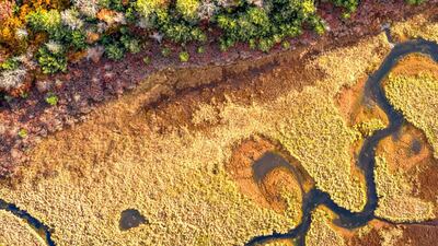 A new report says modern agriculture has altered the face of the planet more than any other human activity and is responsible for 80 per cent of deforestation. Photo: UNCCD