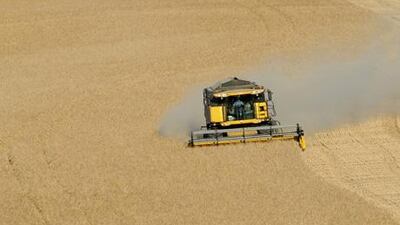 Wheat is harvested this summer near the village of Trebons-sur-la-Grasse, in the Haute-Garonne region of south-western France.