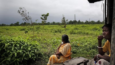 Tea workers look at their destroyed tea garden, where they used to work. More than 16,000 people have been left in extreme poverty at the estates, spread across the Dooars plains below Darjeeling, source of the famous brand known as the Champagne of teas.