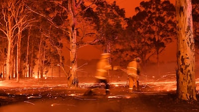Firefighters hose down trees as they battle against bushfires around the town of Nowra in the Australian state of New South Wales. AFP