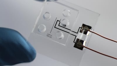 A chip that uses an electrical charge to separate out salt could be the answer to eliminating the drawbacks of reverse osmosis. Courtesy Kyle Knust