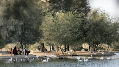 Families at Al Qudra Lake. Reem Mohammed / The National