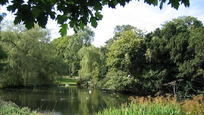 The pond at The Royal Botanic Garden Edinburgh in Scotland. Courtesy The Royal Botanic Garden Edinburgh