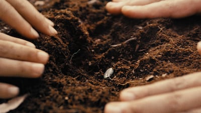 The film tells the story of the UAE through the eyes of the people who have made it their home over the last 50 years.