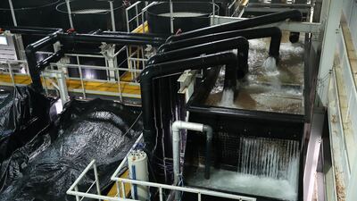 A water treatment plant at Fish Farm's facility. The company has invested in technology and infrastructure to control water salinity, depth and temperature, and even introduce currents and artificial weather conditions in the tanks.