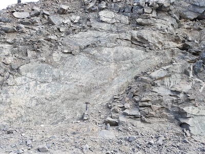 The UAE's terrain could play a crucial role in the space race. Photo: Sorbonne University
