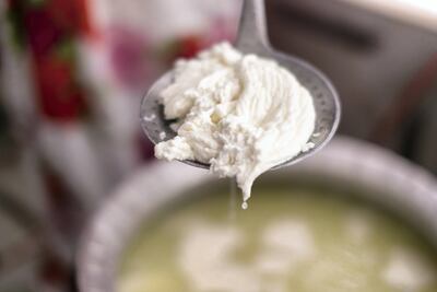 Fatima Al Yamahi prepares chami, a dish similar to cottage cheese and made from laban, It will later be drizzled with pure cow ghee and eaten with dates. Reem Mohammed / The National