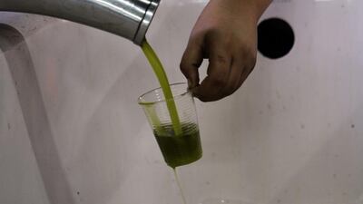 A worker fills a cup with pressed olive oil.