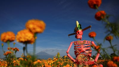 A skeleton sculpture on display in a marigold field in Atlixco, Mexico, with the Popocatepetl volcano in the background, ready for Day of the Dead celebrations. Reuters