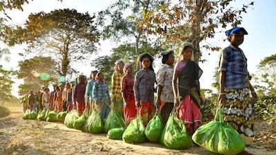 Workers queue to weigh and deposit their day's tally of leaves at a tea garden at Rangapara in Assam, India. AFP