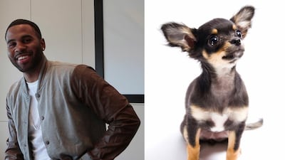 Jason Derulo, Beats on The Beach, Friday. When Derulo arrived for a performance in Ohio in October, the local newspaper, The Dayton Daily News, reported that the Wiggle singer had asked for a “small to medium-breed dog” to play with for the day. According to the paper, he also wanted freshly squeezed orange juice, a love seat, a vanity mirror with lights, his tour poster and some men’s fitness magazines. Jeffrey E Biteng / The National and iStockphoto.com