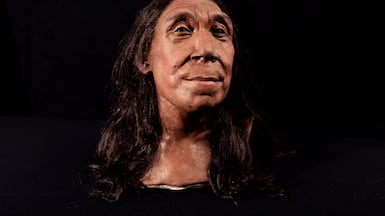 The recreated head of Shanidar Z, made by the Kennis brothers for the Netflix documentary, 'Secrets of the Neanderthals' based on scans of the reconstructed skull. PA
