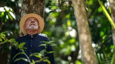 Brazil has halved deforestation in the Amazon in two years, showing that concrete climate action is possible. EPA