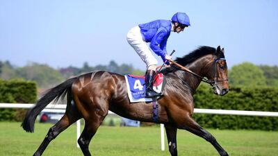 Godolphin's Moonlight Magic is likely to feature in the Epsom Derby in June. Healy Racing / Racingfotos.com