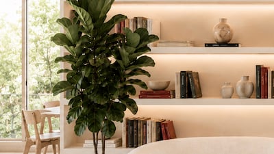 A hotel's book collection should be as well thought-out as its art collection, proponents argue. Photo: Chapter by Maia