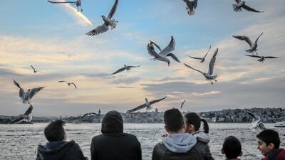 People feed seagulls as they stand at the back of Kadikoy ferry crossing the Bosphorus in Istanbul. AFP