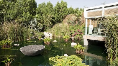 11. A peaceful corner of The Farm in Dubai's Al Barari. Courtesy The Farm Al Barari