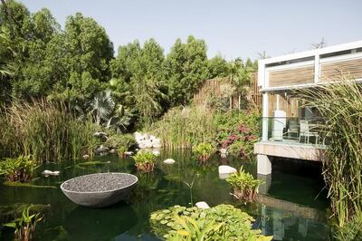 The Farm has managed to find success in the tucked away location of Al Barari