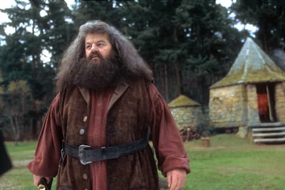 Hogwarts gamekeeper Hagrid is well versed with the creatures found in the Forbidden Forest. Photo: Warner Bros. Pictures
