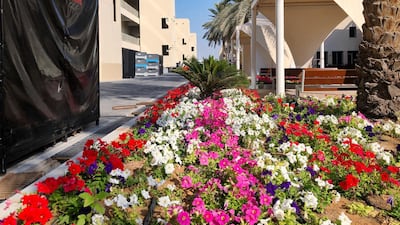 More than two acres of seasonal flowers are planted across Yas Marina Circuit. Courtesy Yas Marina Circuit