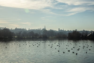 All England Lawn Tennis Club Expansion into Wimbledon Park and the oppostion from clubs and organisations in the area. Wimbledon Park Lake