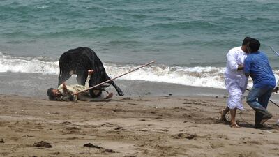 The bull fled in to the sea, where it remained for five hours.