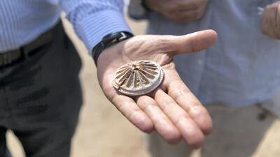 An ornamental object found at an ancient burial site that has been uncovered in Dibba, Fujairah. Reem Mohammed / The National