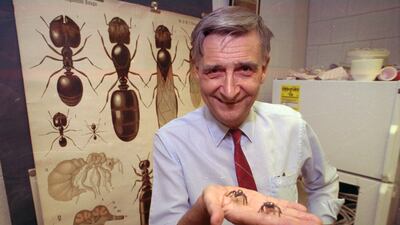 Edward O Wilson was a pioneering biologist who argued for a new vision of human nature in his book 'Sociobiology' and warned against the decline of ecosystems. AP