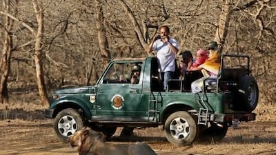 Tourists take photos of an Asiatic lion during a safari at the Gir Sanctuary in the western Indian state of Gujarat, India.