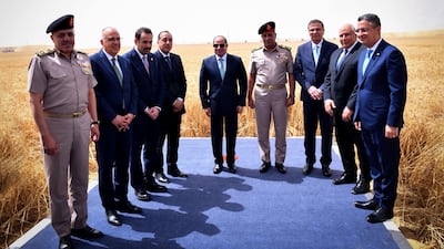 Abdel Fattah El Sisi is joined by senior Egyptian officials and military commanders in a wheat field at the New Delta project. Photo: Egyptian Presidency.