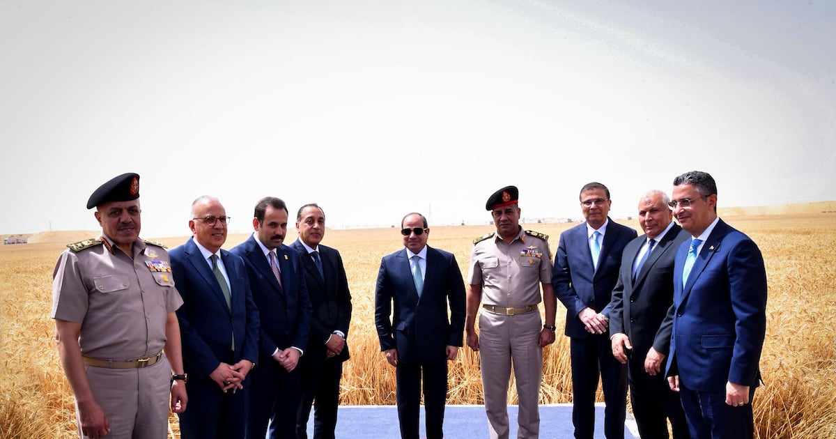 Egypt's President opens New Delta project to grow wheat in desert with ...