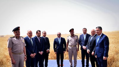 Abdel Fattah El Sisi is joined by senior Egyptian officials and military commanders in a wheat field at the New Delta project. Photo: Egyptian Presidency.