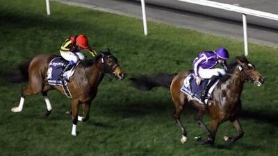 St Nicholas Abbey, right, pulled away from the rest of the pack in the final 100m. Sammy Dallal / The National