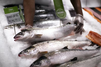 Fish Farm salmon is being produced in the UAE, giving consumers a home-grown alternative to fish flown over from other parts of the world. Reem Mohammed/The National