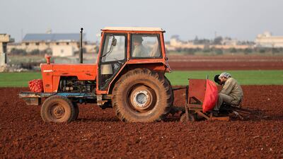Syrian potato farmers use a tractor to plant the root vegetables near the town of Binnish in Syria's northwestern Idlib province. AFP