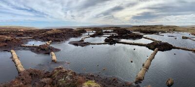 Pools forming behind coir logs on Fleet Moss. Jenny Sharman