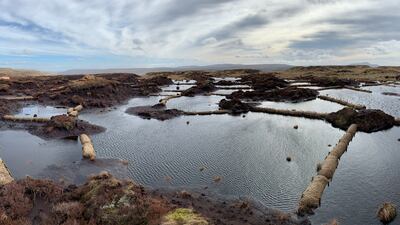 Special glue is being used on Fleet Moss in Yorkshire to help restore the peatland. Photo: Jenny Sharman